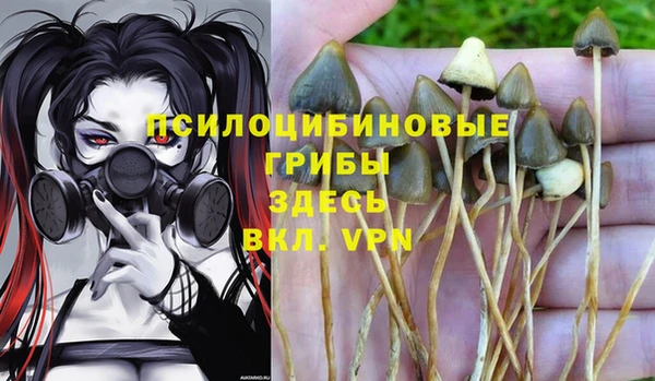 героин Покачи