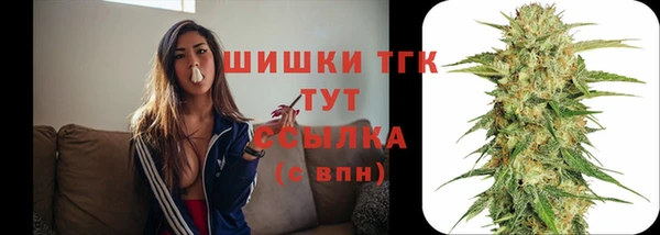 первитин Богородицк