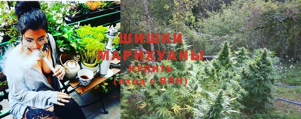 первитин Богородицк