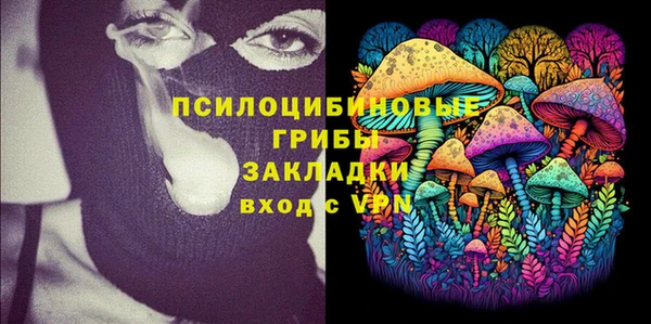первитин Богородицк